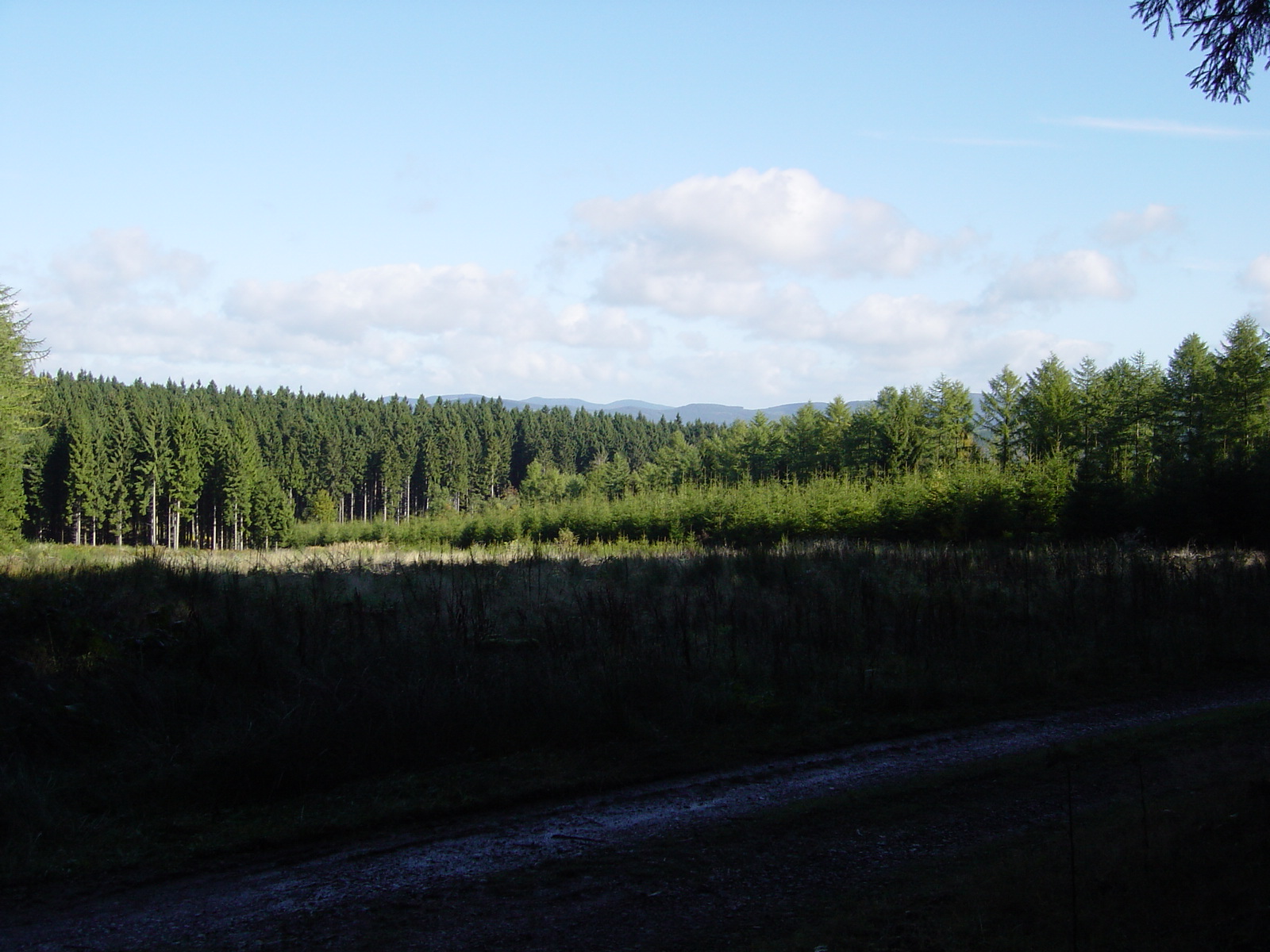 DSC00105 DSC00105