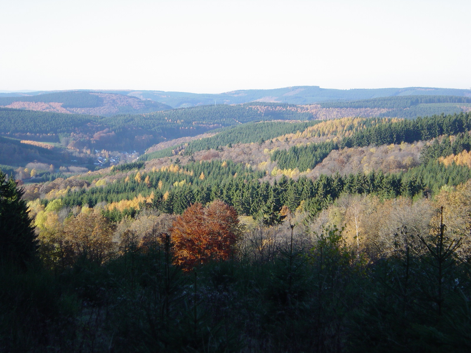 Im Herbst 2-2003 Im Herbst 2-2003