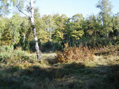 Naturschutzgebiet Vorspanneiche