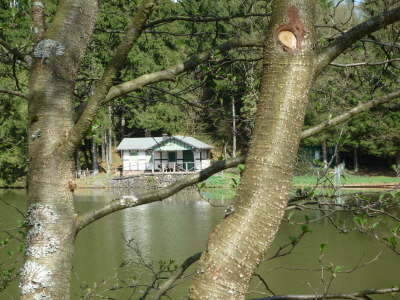 Privatweiher Dollenbruch